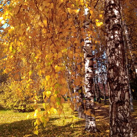 Лучшие фото. ПРИРОДА (0)