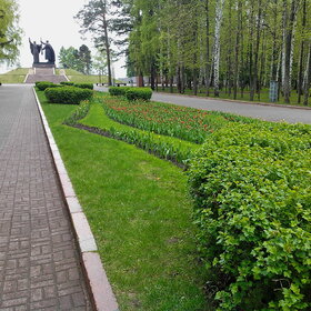 ������ ����. �������