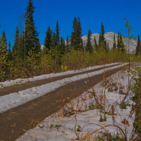 ������ ����. ���������� �� �����������