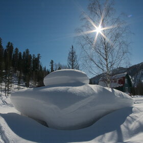 ����� ����. ���������� �� �����������