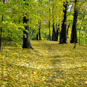 Осень в Кузьминском парке