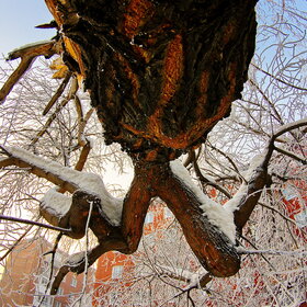 ����. ������. �������