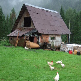 ����� ����. ���������� �� �����������