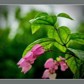 Новые фотографии. ПРИРОДА