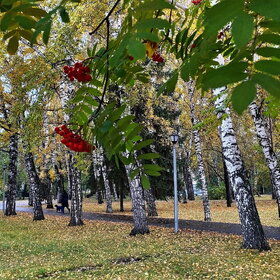 ����. ������. �������