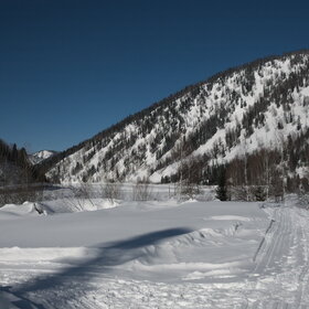 ����� ����. �����������