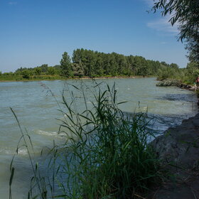 ������ ����. ���������� �� �����������