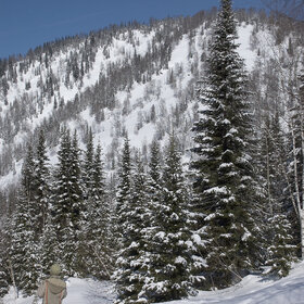 ������ ����. ���������� �� �����������