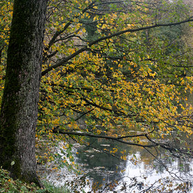 ����. ����. ����������� ����