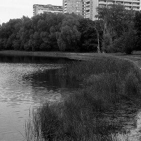 Лучшие фото. Пруд Садки (0)