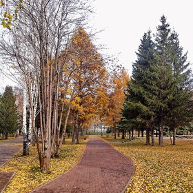 Лучшие фото. ПРИРОДА (0)