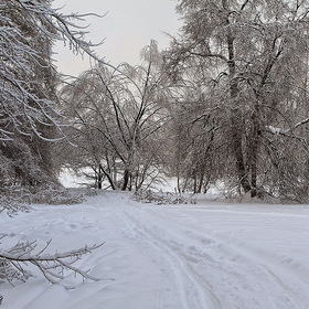 Зима в Кузьминском парке