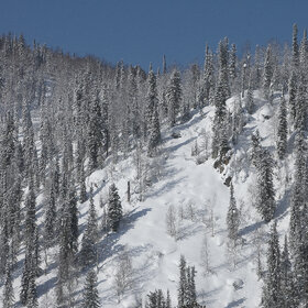 ������ ����. ���������� �� �����������