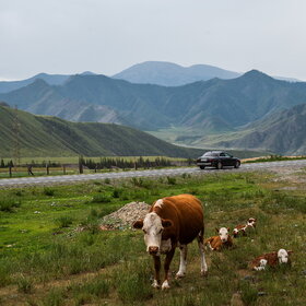 ����. ���� �� �����������. ���������� �� �����������