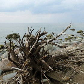 Photo Nature. Балтийский берег.
