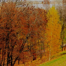 Осенний склон Волги