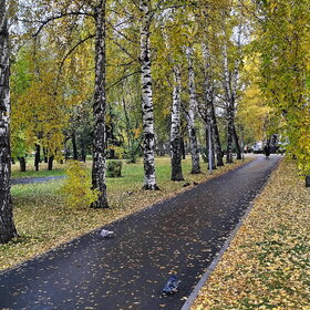 ����. ������. �������