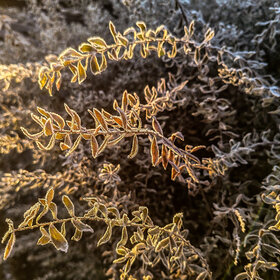 ����. ������. �������