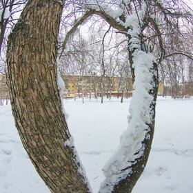 ����. ������. �������