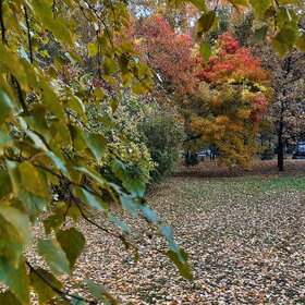 Новые фотографии. ПРИРОДА