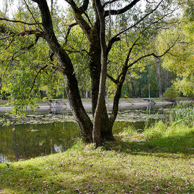 ����. ��� �����. ����� ����������