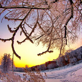 ����. ������. �������