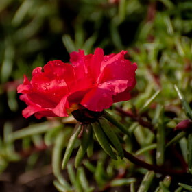 ����. ������. �������