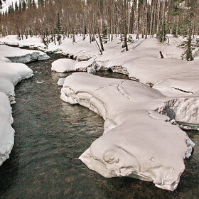 ������ ����. ���������� �� �����������