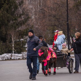 ����. ������. ����