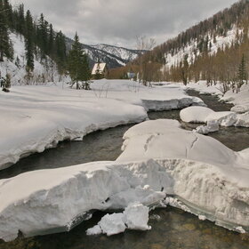 ������ ����. ���������� �� �����������