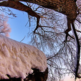 ����. ������. �������