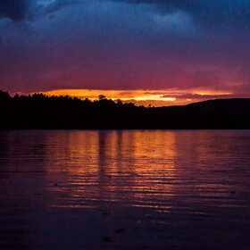 ����. ������. �������