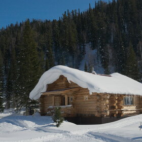 ����� ����. ���������� �� �����������