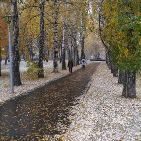 Лучшие фото. ПРИРОДА (1)