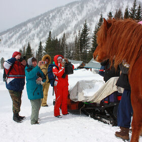 ����� ����. ���������� �� �����������