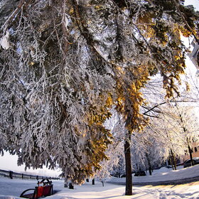 ������ ����. �������