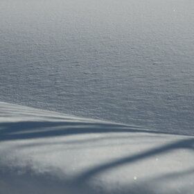 ������ ����. �����������