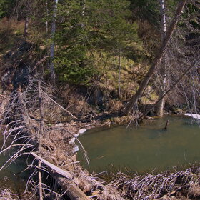 ������ ����. �������