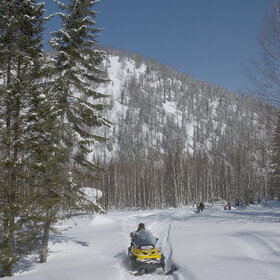 ����� ����. ���������� �� �����������