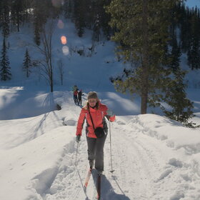 ������ ����. ���������� �� �����������