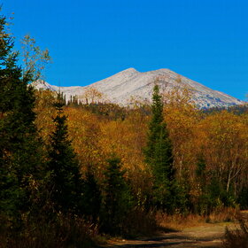 ������ ����. ���������� �� �����������