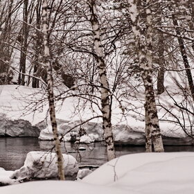 ������ ����. �����������