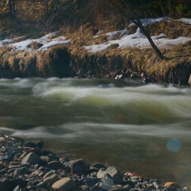 ����. ������. �������