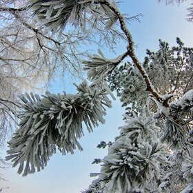 ����. ������. �������