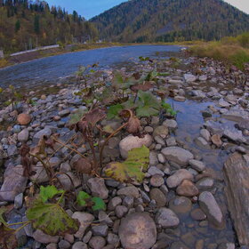 ������ ����. ���������� �� �����������