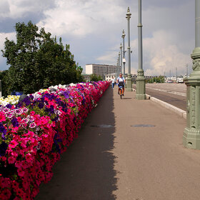 ������ ����. ������� �������� ����