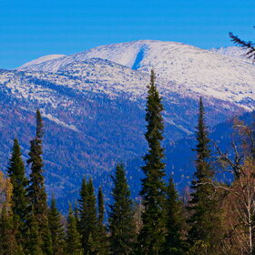 ������ ����. ���������� �� �����������