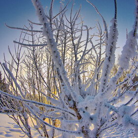 ����. ������. �������