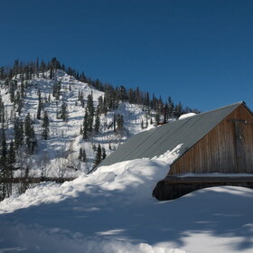 ������ ����. ���������� �� �����������