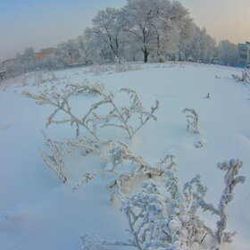 ������ ����. �������